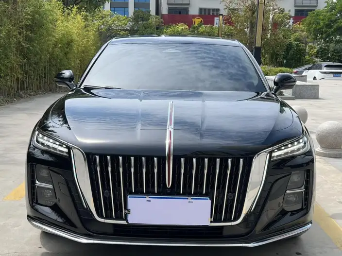 Hongqi H5 2024 Model 2.0T Automatic Flag Enjoy Edition – фото 2