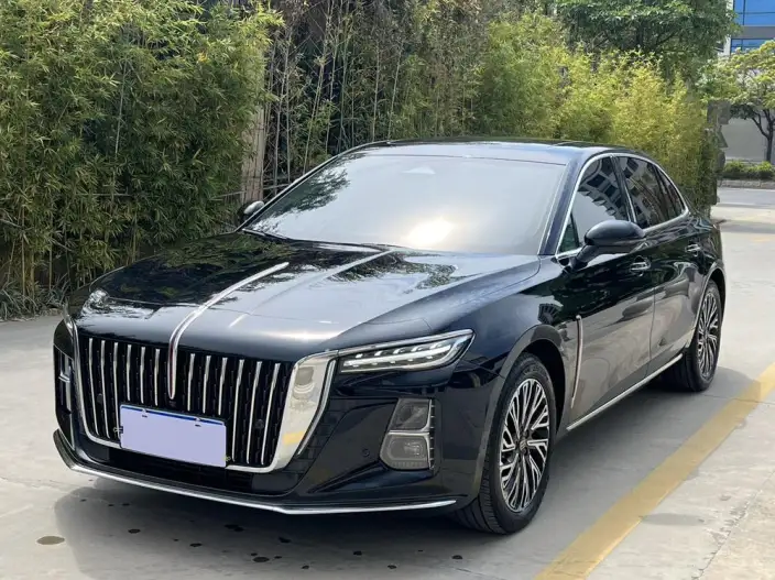 Hongqi H5 2024 Model 2.0T Automatic Flag Enjoy Edition – фото 10