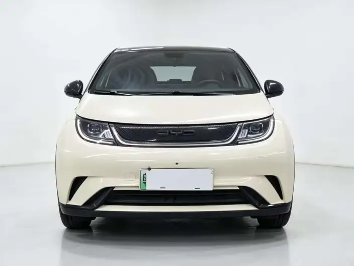 BYD Dolphin 2021 Model Fashion Edition – фото 2