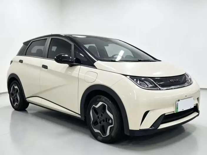 BYD Dolphin 2021 Model Fashion Edition – фото 3