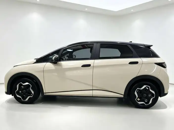 BYD Dolphin 2021 Model Fashion Edition – фото 4