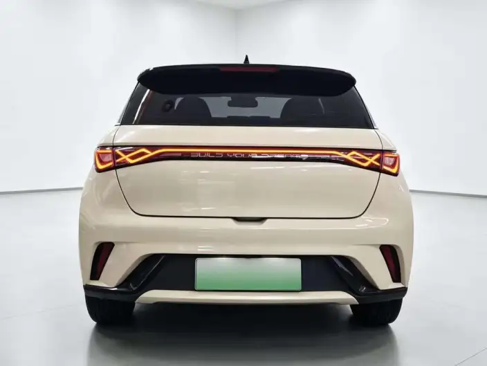 BYD Dolphin 2021 Model Fashion Edition – фото 6