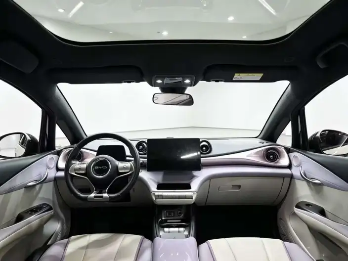 BYD Dolphin 2021 Model Fashion Edition – фото 9