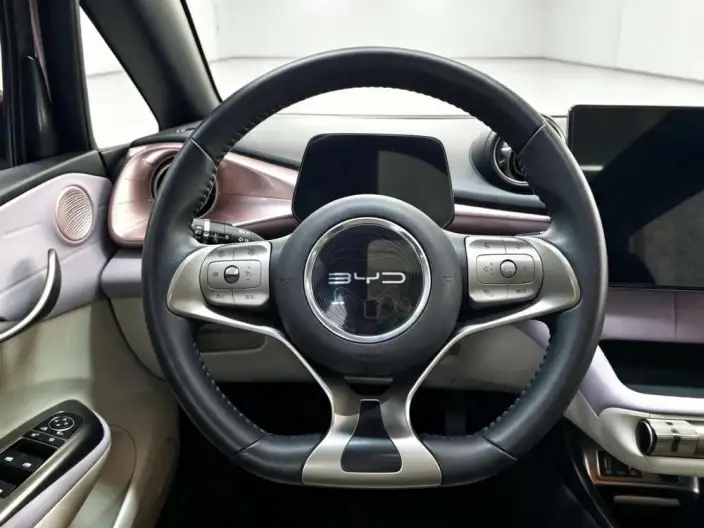 BYD Dolphin 2021 Model Fashion Edition – фото 10