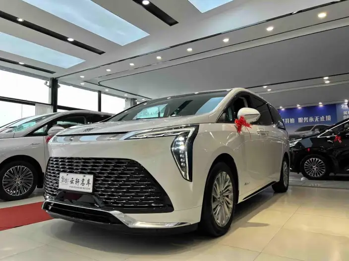 Century 2023 Model 2.0T VI seat Yunshi Edition – фото 1