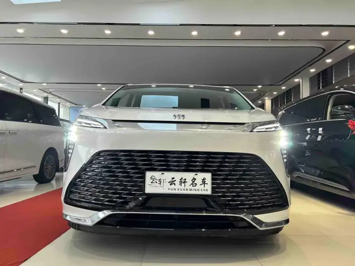 Century 2023 Model 2.0T VI seat Yunshi Edition – фото 2