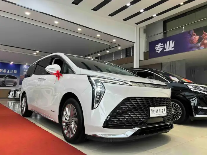 Century 2023 Model 2.0T VI seat Yunshi Edition – фото 3