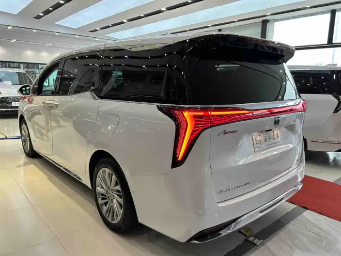 Century 2023 Model 2.0T VI seat Yunshi Edition – фото 4