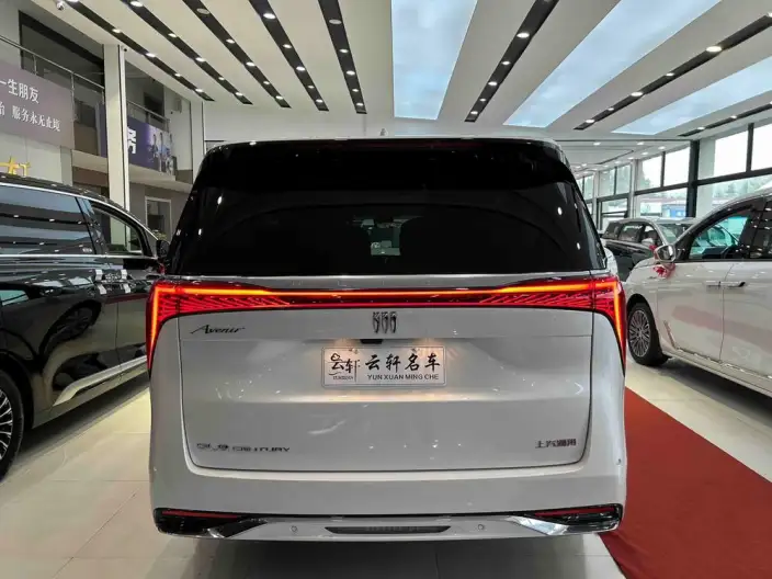Century 2023 Model 2.0T VI seat Yunshi Edition – фото 5