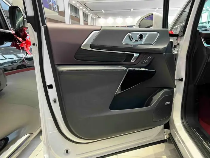 Century 2023 Model 2.0T VI seat Yunshi Edition – фото 10