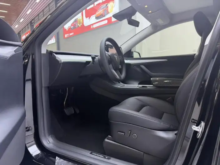 Model Y 2023 Model Rear-wheel drive version – фото 8