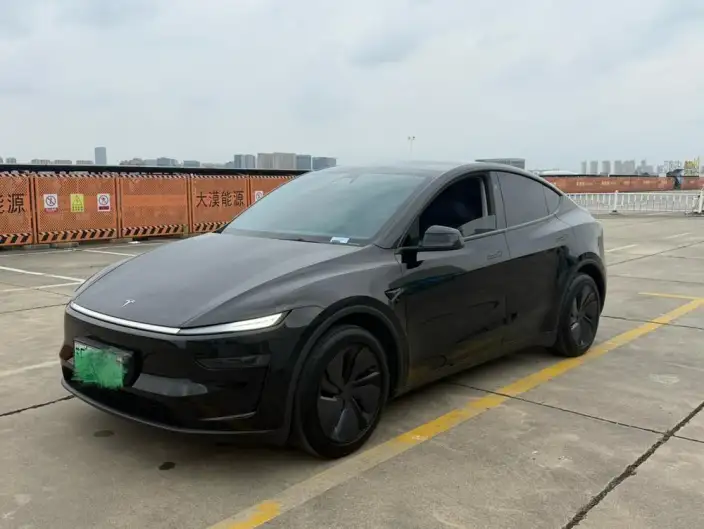 Model Y 2025 Model Rear-wheel drive version – фото 1