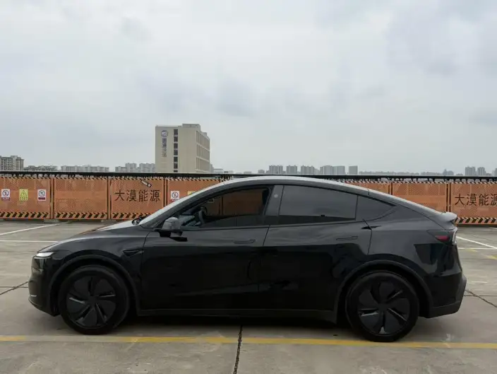 Model Y 2025 Model Rear-wheel drive version – фото 4