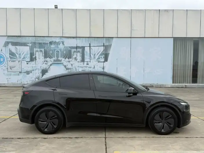 Model Y 2025 Model Rear-wheel drive version – фото 8
