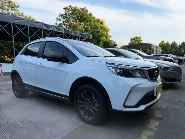 Geely Vision X3 2021 Model PRO 1.5L CVT Noble Model – фото 3