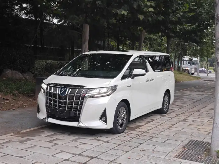 Elfa 2020 Model Hybrid 2.5L Premium Edition – фото 1