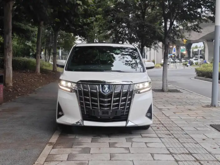 Elfa 2020 Model Hybrid 2.5L Premium Edition – фото 2