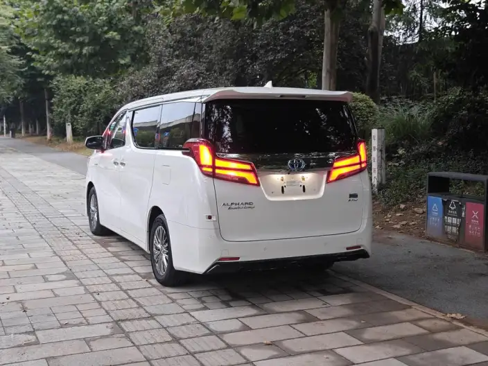 Elfa 2020 Model Hybrid 2.5L Premium Edition – фото 4