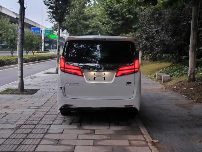 Elfa 2020 Model Hybrid 2.5L Premium Edition – фото 5
