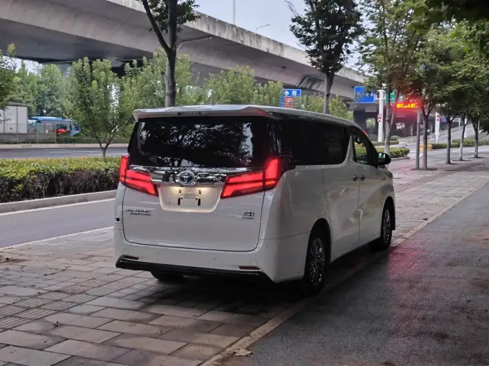 Elfa 2020 Model Hybrid 2.5L Premium Edition – фото 6