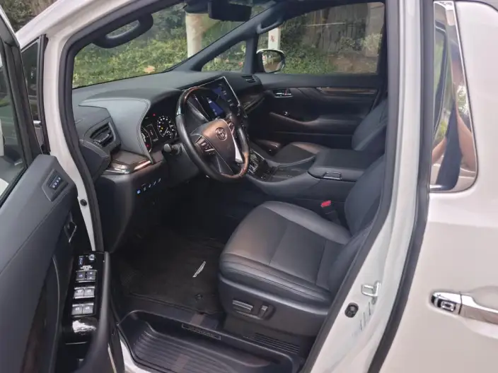 Elfa 2020 Model Hybrid 2.5L Premium Edition – фото 8