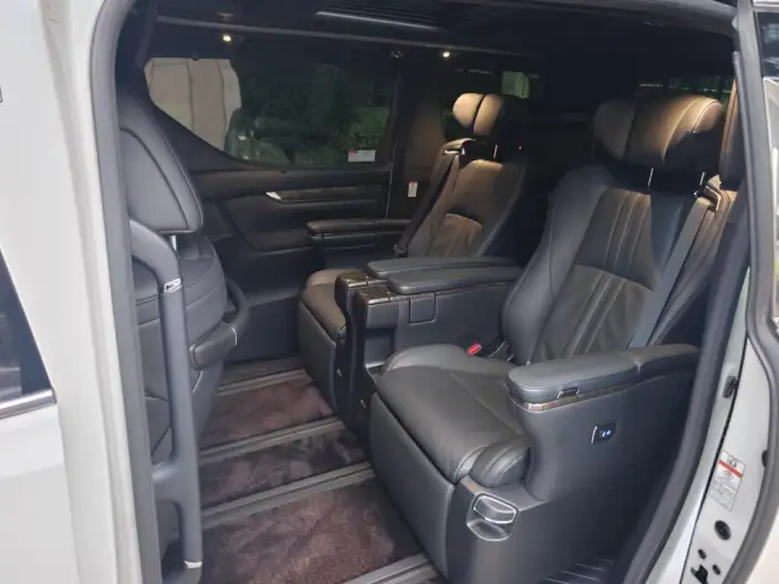 Elfa 2020 Model Hybrid 2.5L Premium Edition – фото 9