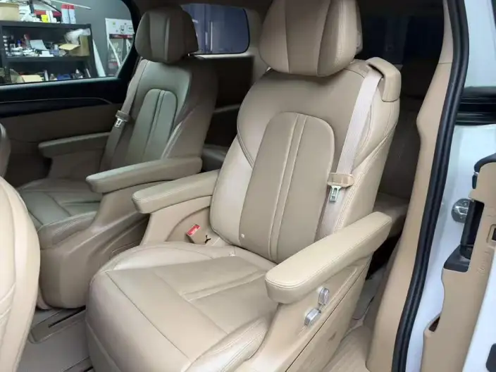 Buick GL8 2021 Model ES Luzun 653T Comfort Model – фото 9