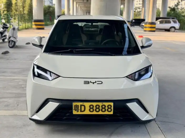 BYD Seagull 2024 Model Honor Edition 305KM Vitality Edition – фото 2