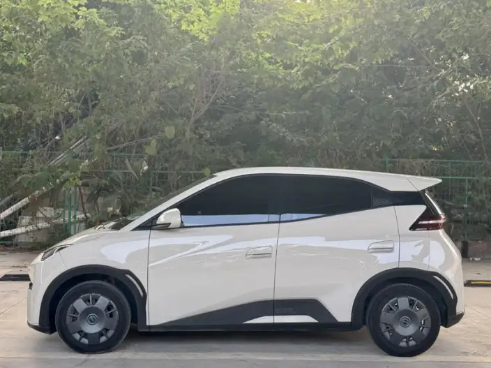 BYD Seagull 2024 Model Honor Edition 305KM Vitality Edition – фото 3