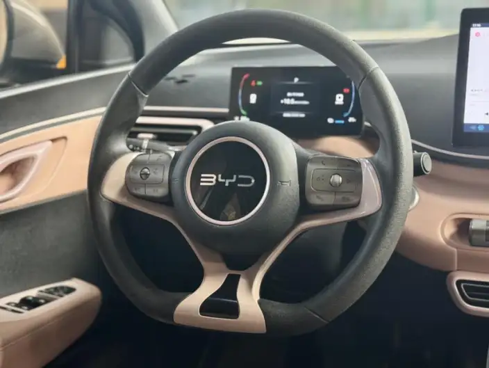 BYD Seagull 2024 Model Honor Edition 305KM Vitality Edition – фото 7