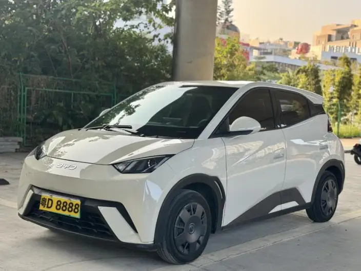 BYD Seagull 2024 Model Honor Edition 305KM Vitality Edition – фото 10