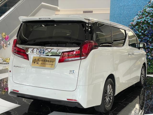 El f a Модель 2019 года Hybrid 2.5L Deluxe Edition – фото 7