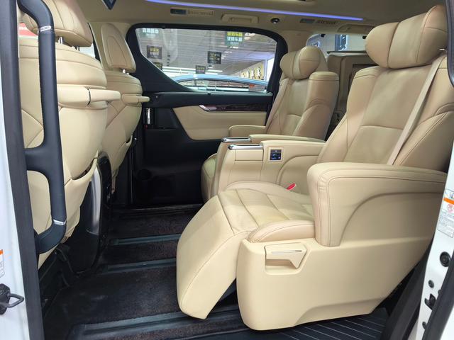 El f a Модель 2019 года Hybrid 2.5L Deluxe Edition – фото 14