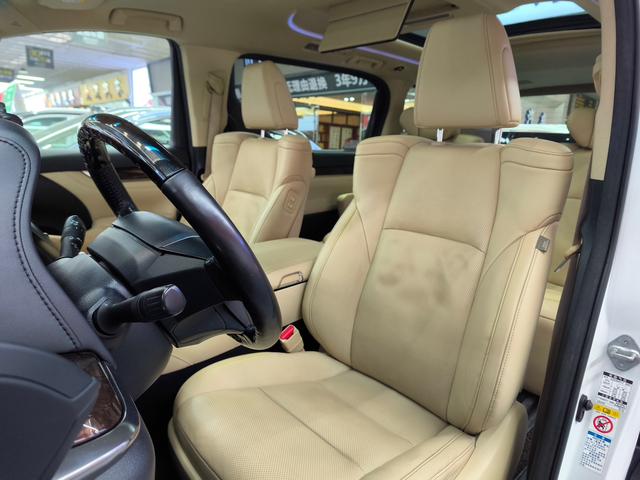 El f a Модель 2019 года Hybrid 2.5L Deluxe Edition – фото 17
