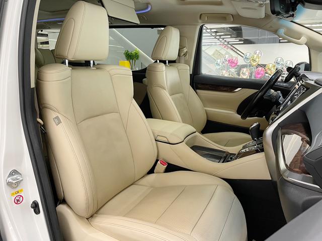 El f a Модель 2019 года Hybrid 2.5L Deluxe Edition – фото 19