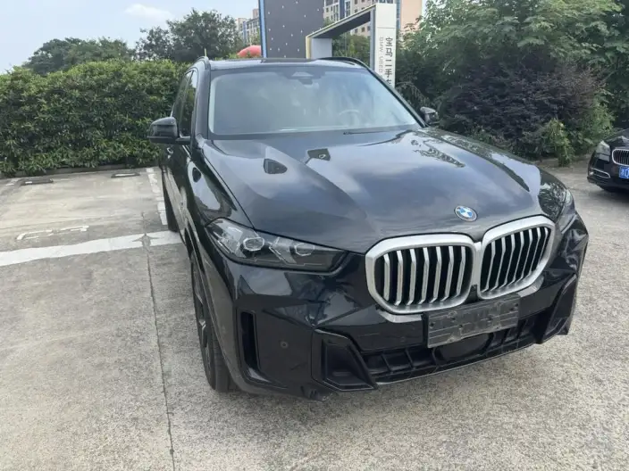 BMW X5 2025 Model xDrive30Li M Sports Night Set – фото 2