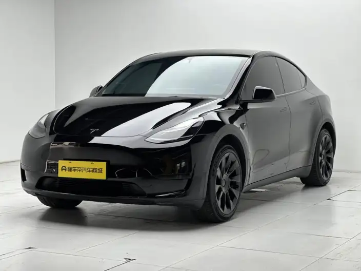 Model Y 2023 Model Rear-wheel drive version – фото 1