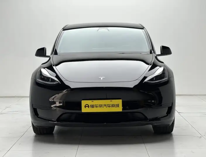 Model Y 2023 Model Rear-wheel drive version – фото 2