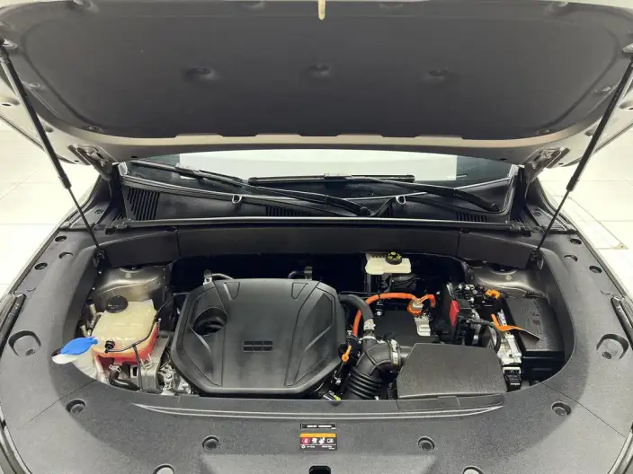 Geely Galaxy L7 2025 Model 1.5L EM-i 115km Tiggo Edition – фото 10