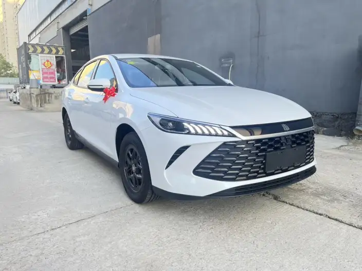 BYD Qin PLUS DM 2026 Model DM-i 128KM Enterprising Model – фото 3