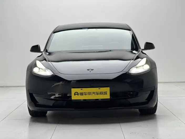 Model 3 2022 Model Rear-wheel drive version – фото 2