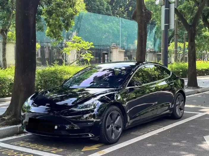Model 3 2020 Model Facelift Long Battery Life Pro Rear-wheel drive version – фото 1