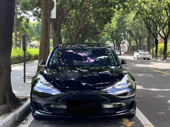 Model 3 2020 Model Facelift Long Battery Life Pro Rear-wheel drive version – фото 2