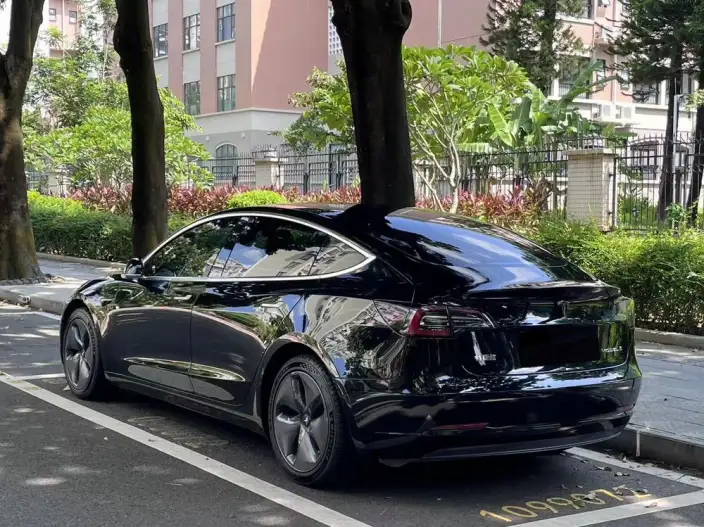Model 3 2020 Model Facelift Long Battery Life Pro Rear-wheel drive version – фото 3