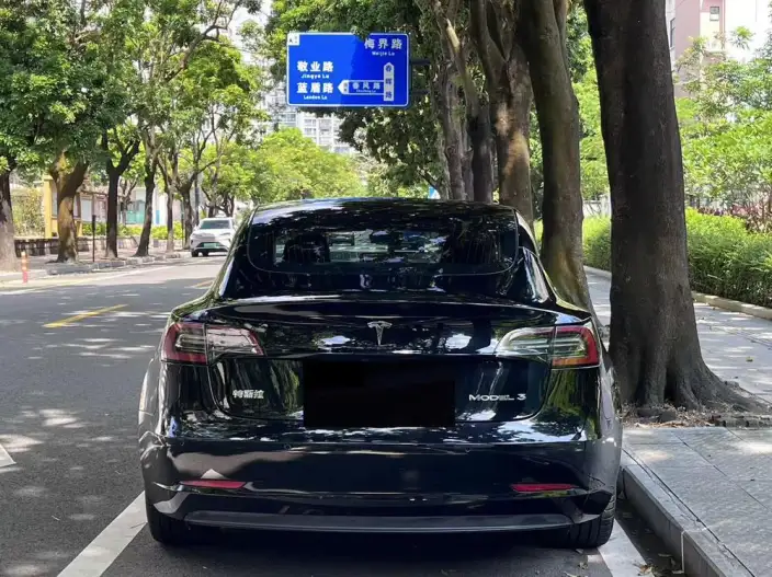 Model 3 2020 Model Facelift Long Battery Life Pro Rear-wheel drive version – фото 4