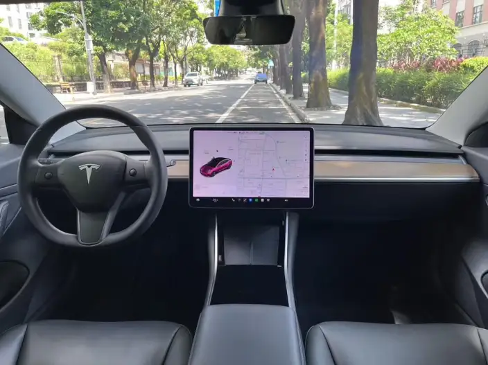 Model 3 2020 Model Facelift Long Battery Life Pro Rear-wheel drive version – фото 8