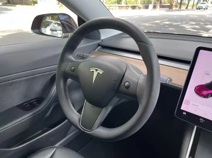 Model 3 2020 Model Facelift Long Battery Life Pro Rear-wheel drive version – фото 9
