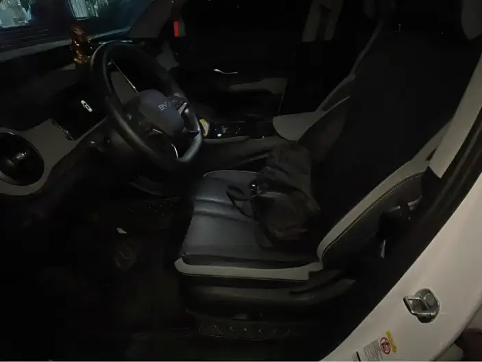 Haise 05DM 2025 Model DM-i 75KM Noble Model – фото 10