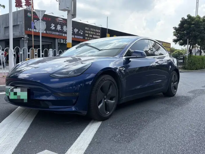 Model 3 2020 Model Facelift Long Battery Life Pro Rear-wheel drive version – фото 1