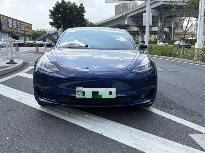 Model 3 2020 Model Facelift Long Battery Life Pro Rear-wheel drive version – фото 2